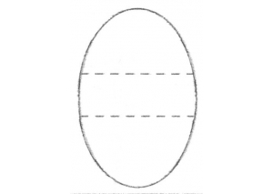 Oval lg - 495